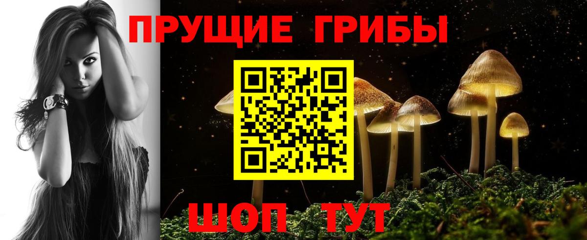 Галлюциногенные грибы прущие грибы  Галлюциногенные грибы Magic Shrooms  Вход с VPN  Сосновый Бор 